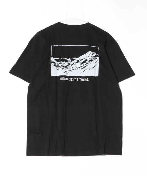 B.I.D.(ビーアイディー)の「《バックプリント コットンTシャツ》(Tシャツ/カットソー・レディース・D/B/その他7/C/その他1/その他8/その他5/その他2/その他6/その他・LARGE/MEDIUM)」の15枚目の写真