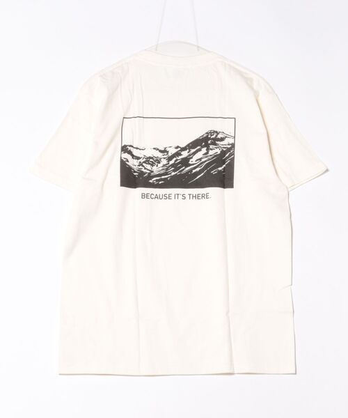 B.I.D.(ビーアイディー)の「《バックプリント コットンTシャツ》(Tシャツ/カットソー・レディース・D/B/その他7/C/その他1/その他8/その他5/その他2/その他6/その他・LARGE/MEDIUM)」の17枚目の写真
