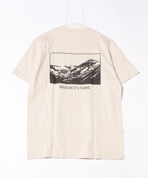 B.I.D.(ビーアイディー)の「《バックプリント コットンTシャツ》(Tシャツ/カットソー・レディース・D/B/その他7/C/その他1/その他8/その他5/その他2/その他6/その他・LARGE/MEDIUM)」の19枚目の写真