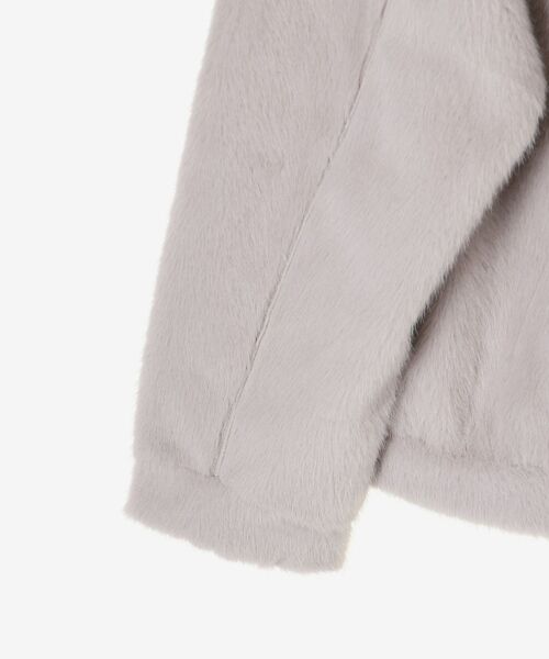 le.coeur blanc（ルクールブラン）の「ミンクタッチスタンドカラーファーブルゾン（ブルゾン・レディース・ブラウン/ライトグレー・38）」の3枚目の写真