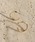 SIENA ROSE�i�V�G�i���[�j�́u�p�C�v�n�[�t�t�[�v�s�A�X[L]�i�s�A�X�i�����p�j�j�v�b�C�G���[�S�[���h