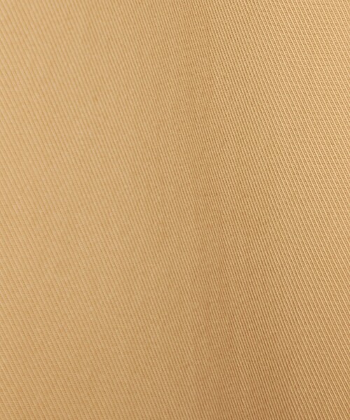 DEICY(デイシー)の「ウエストベルトスプリングコート(トレンチコート・レディース・ベージュ/イエロー・FREE)」の15枚目の写真