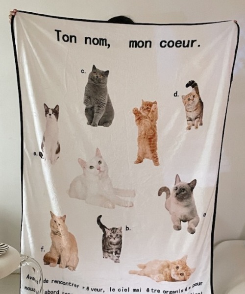 Made in I（メイドインアイ）の「コラージュグラフィックブランケット（ブランケット・レディース・A/C/B・FREE）」の3枚目の写真