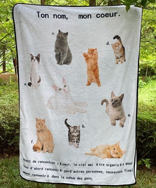 Made in I（メイドインアイ）の「コラージュグラフィックブランケット（ブランケット・レディース・A/C/B・FREE）」の12枚目の写真