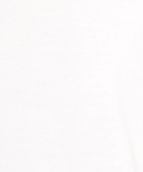 THE SHOP TK (ザ ショップ ティーケー )の「袖シアーTシャツ【接触冷感/洗濯機OK】(Tシャツ/カットソー・レディース・キャメル/オフホワイト/ブラック/サックスブルー・12/13)」の22枚目の写真