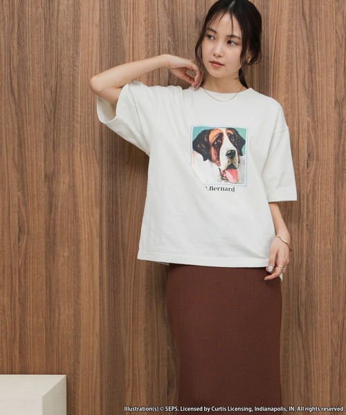 forksy.(フォルクシー)の「【forksy.】【THE SATURDAY EVENING POST】別注 アソート グラフィック半袖Tシャツ(Tシャツ/カットソー・レディース・ホワイト系1/グレイッシュベージュ/ホワイト系2・FREE)」の13枚目の写真