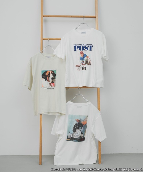 ぷりん伯爵様 1067 forksy.】【THE SATURDAY EVENING POST】別注 アソート グラフィック