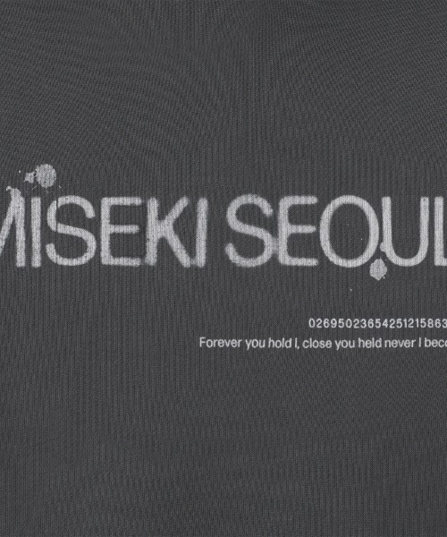 Miseki SEOUL(ミセキソウル)の「LOGO SWEAT HOODIE(パーカー・レディース・ブラック/チャコールグレー・OS)」の3枚目の写真