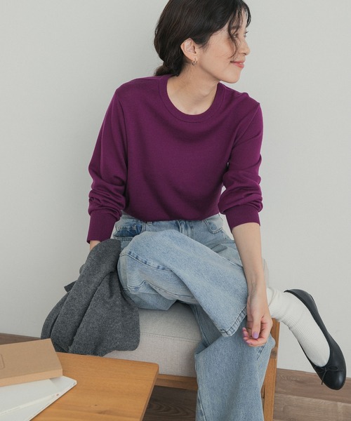 URBAN RESEARCH DOORS(アーバンリサーチドアーズ)の「ウォッシャブルウールクルーネックプルオーバー(ニット/セーター・レディース・ブラック/グレー/パープル系その他・FREE)」の1枚目の写真