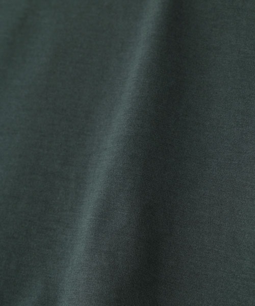 SUNSPEL(サンスペル)の「WOMEN’S Q82 PLAIN(Tシャツ/カットソー・レディース・レッド/グリーン・1/2)」の10枚目の写真