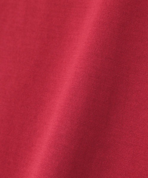 SUNSPEL(サンスペル)の「WOMEN’S Q82 PLAIN(Tシャツ/カットソー・レディース・レッド/グリーン・1/2)」の4枚目の写真