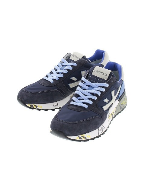 フトオアゲハ♂標本 ☆台湾産☆有名種 104mm 美麗標本状態⭕️ 入手困難