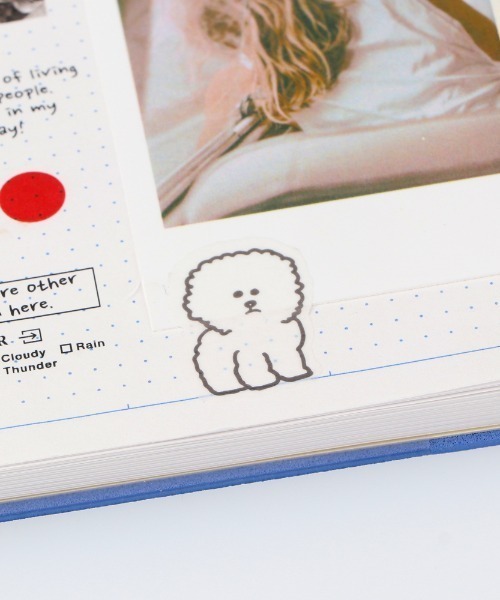 マステ」手帳デコ 水性ペンで書けるマスキングテープ（フレーク