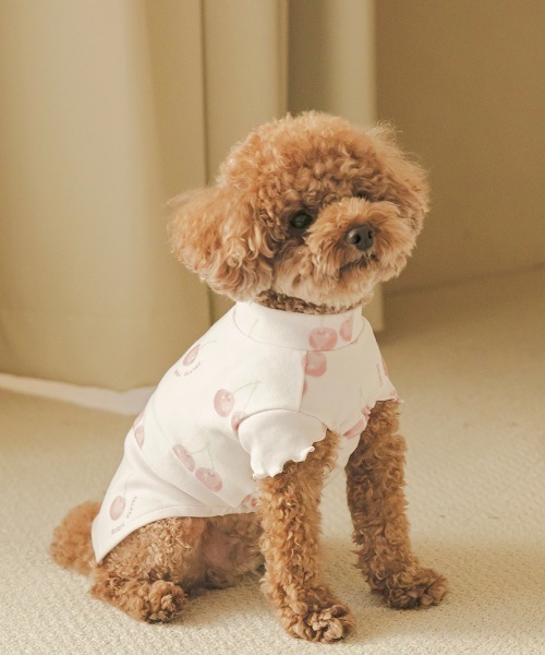 あなたにおすすめの商品 CAT&DOG】チェリー柄プルオーバー（ペットウェア）｜gelato 犬服・アクセサリー