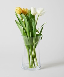 TODAY'S SPECIAL(�g�D�f�C�Y�X�y�V����)�̃u���[���x�[�X S / 359660(�t�����[�x�[�X)