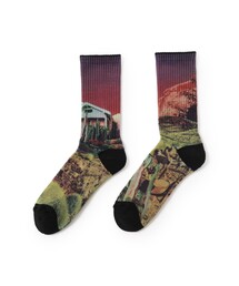 Whimsy（ウィムジー）の「WHIMSY SOCKS / DAY DREAMING SOCKS（ソックス/靴下）」