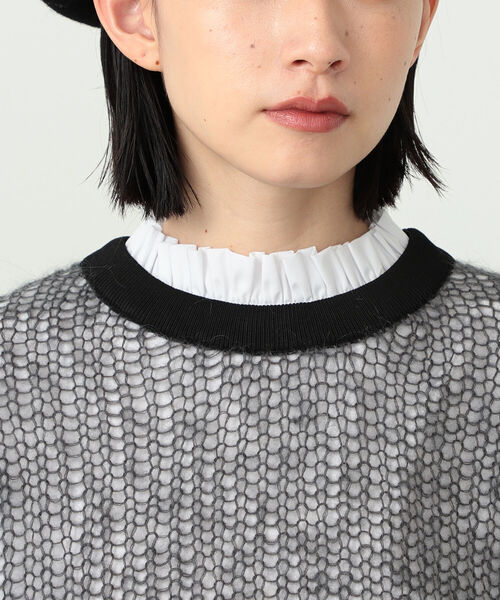 CAROLINA GLASER（カロリナ グレイサー）の「CAROLINA GLASER / メッシュ ニット（ニット/セーター・レディース・ブラック/チャコールグレー・ONE SIZE）」の14枚目の写真