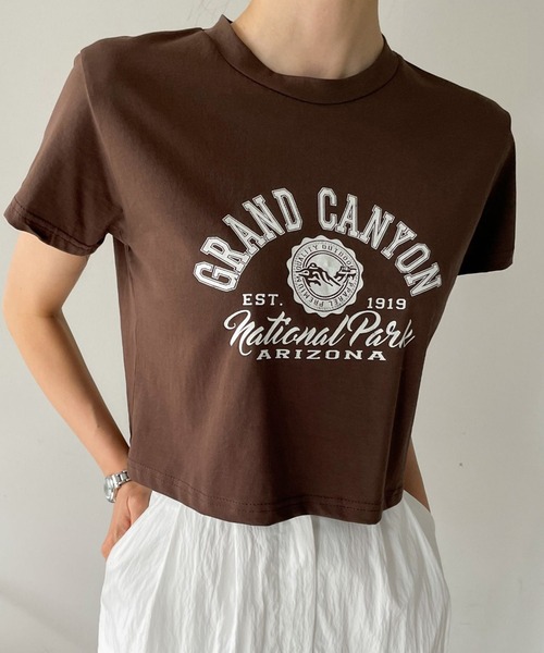 me+em select（ミームセレクト）の「ショート丈カレッジロゴTシャツ（Tシャツ/カットソー・レディース・アイボリー/ブラウン/ブラック/グレー・FREE）」の12枚目の写真