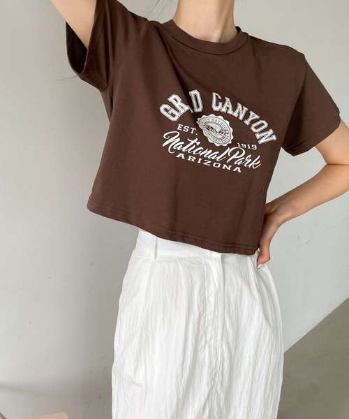 me+em select（ミームセレクト）の「ショート丈カレッジロゴTシャツ（Tシャツ/カットソー・レディース・アイボリー/ブラウン/ブラック/グレー・FREE）」の13枚目の写真