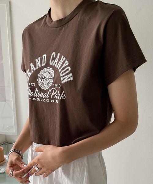 me+em select（ミームセレクト）の「ショート丈カレッジロゴTシャツ（Tシャツ/カットソー・レディース・アイボリー/ブラウン/ブラック/グレー・FREE）」の15枚目の写真