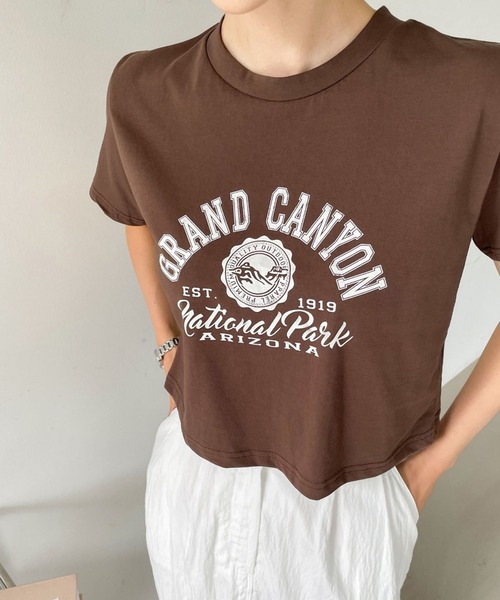 me+em select（ミームセレクト）の「ショート丈カレッジロゴTシャツ（Tシャツ/カットソー・レディース・アイボリー/ブラウン/ブラック/グレー・FREE）」の18枚目の写真