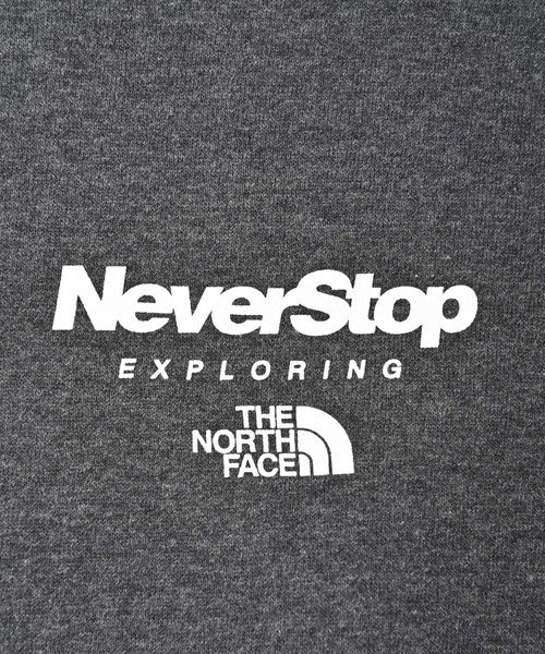 THE NORTH FACE（ザノースフェイス）の「THE NORTH FACE(ザ・ノース・フェイス) NSE プルパーカー（パーカー・メンズ・チャコール・S/M/L/XL）」の10枚目の写真
