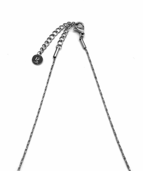 LHME（エルエイチエムイー）の「LHME プランプドロップネックレス/サージカルステンレス316L（金属アレルギー対応）（ネックレス・レディース・シルバー/ゴールド・45cm）」の3枚目の写真