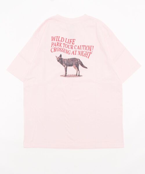 THE SHINZONE（ザ シンゾーン）の「WILD PARK TOUR TEE（Tシャツ