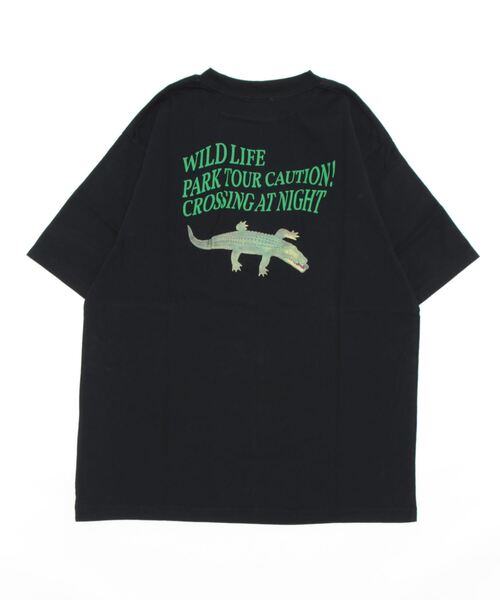THE SHINZONE（ザ シンゾーン）の「WILD PARK TOUR TEE（Tシャツ