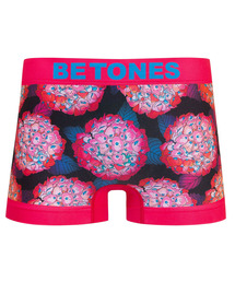 BETONES(rg[Y)́yBETONES/rg[YzuHYDRANGEA2v A_[EFA {NT[ HYDRANGEA2-HYG002-({NT[pc)