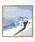 +phenixivXtFjbNXj́u+phenix(vXtFjbNX)cbSki Art Scarf XJ[tio_i/XJ[tjvbu[