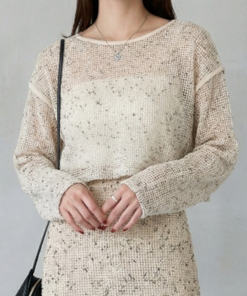 Per sist ence(パーシエンス)の「カットメッシュクロップドプルオーバー(Tシャツ/カットソー・レディース・アイボリー/ブラック/ベージュ・FREE)」の1枚目の写真