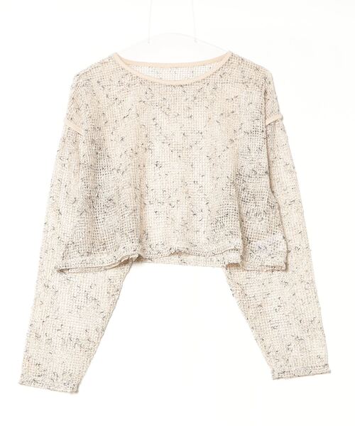 Per sist ence(パーシエンス)の「カットメッシュクロップドプルオーバー(Tシャツ/カットソー・レディース・アイボリー/ブラック/ベージュ・FREE)」の15枚目の写真
