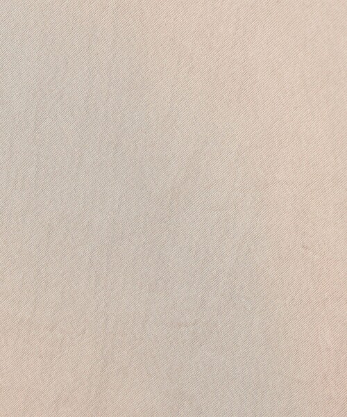 EDITION（エディション）の「サテンヨウリュウ イージーパンツ（その他パンツ・レディース・ライトベージュ/ブラック・34/36）」の9枚目の写真