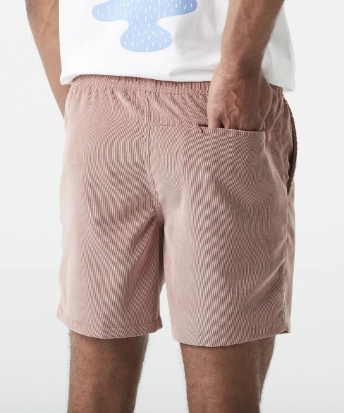 PICTURE ORGANIC CLOTHING(ピクチャーオーガニッククロージング)の「【PICTURE/ピクチャー】NOLLUR SHORTS 吸湿速乾 ストレッチ ショーツ(その他パンツ・メンズ・ピンク系その他/ブルー・LARGE/MEDIUM)」の8枚目の写真