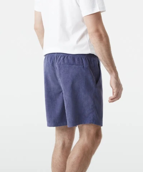 PICTURE ORGANIC CLOTHING(ピクチャーオーガニッククロージング)の「【PICTURE/ピクチャー】NOLLUR SHORTS 吸湿速乾 ストレッチ ショーツ(その他パンツ・メンズ・ピンク系その他/ブルー・LARGE/MEDIUM)」の3枚目の写真