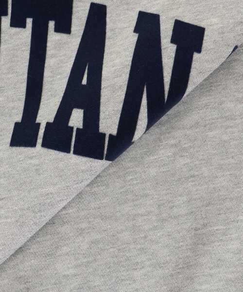 le.coeur blanc（ルクールブラン）の「《WEB限定アイテム》裏毛ロゴスウェットプルオーバー（スウェット・レディース・グレー/オートミール/ネイビー・38）」の6枚目の写真