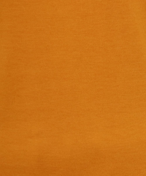 Jocomomola（ホコモモラ）の「ベアスムース 配色刺繍カットソー（Tシャツ/カットソー・レディース・ベージュ/カーキ/オレンジ/ブルー/ブラック/ボルドー/ダークインディゴブルー・40）」の22枚目の写真