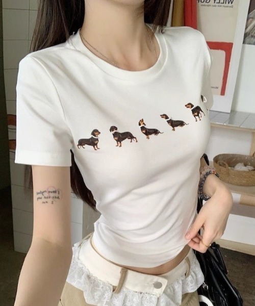 AVYL（アヴィル）の「ドッグプリント コンパクトリンガーTシャツ（Tシャツ/カットソー・レディース・ホワイト/グレー・M）」の12枚目の写真