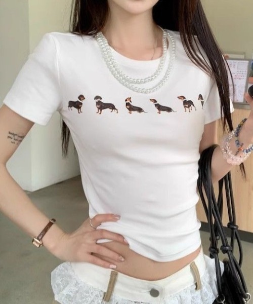 AVYL（アヴィル）の「ドッグプリント コンパクトリンガーTシャツ（Tシャツ/カットソー・レディース・ホワイト/グレー・M）」の22枚目の写真