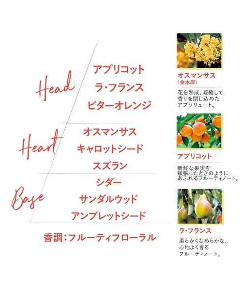 L'OCCITANE（ロクシタン）の「オスマンサス ミニオードトワレ&ハンドクリームセット（香水・フレグランスキット/ギフトセット・レディース・その他・FREE）」の2枚目の写真