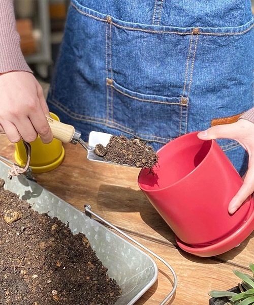 DULTON(_g)MINI TROWEL /RAKE/ ~j g[EF/CN(t[x[X)