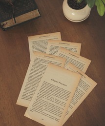 LASOA（ラソア）の「6枚セットヴィンテージペーパー/L00041（インテリア雑貨）」