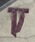 GOLDY�i�S�[���f�B�j�́u�x���A �����O �����O�X ���{�� �w�A�J�t�i�w�A�S���j�v�b�s���N