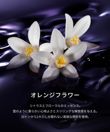 Maison Margiela Fragrances（メゾン マルジェラ フレグランス）の