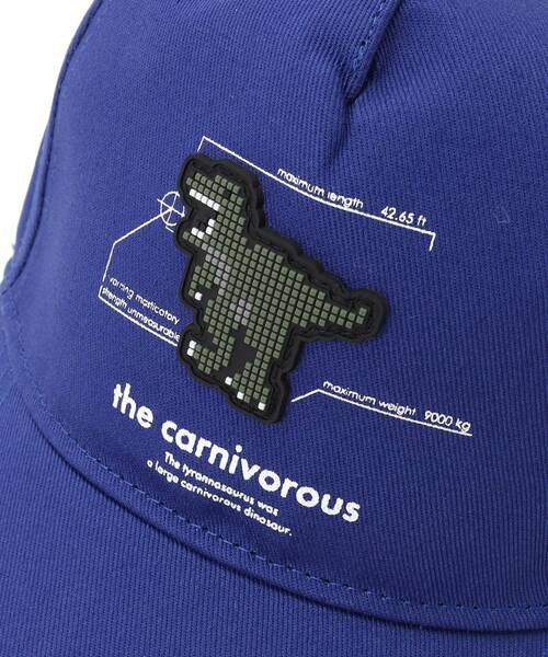 SHOO・LA・RUE（シューラルー）の「シリコン恐竜ツイルキャップ（キャップ・キッズ・ベージュ/ブルー系その他・99）」の8枚目の写真