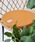 FUNALIVEit@ACuj́uFABORI Gt[NX@Eh`FApbhiNbV/NbVJo[jvb}X^[h