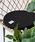 FUNALIVEit@ACuj́uFABORI Gt[NX@Eh`FApbhiNbV/NbVJo[jvbubN