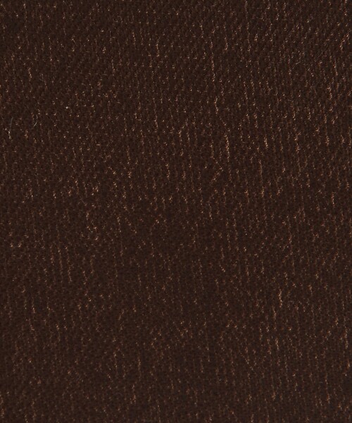 BEAUTY&YOUTH UNITED ARROWS(ビューティーアンドユースユナイテッドアローズ)の「ベルベット ボールチェーン 2WAY ミニトートバッグ(トートバッグ・レディース・ネイビー/ダークブラウン・FREE)」の19枚目の写真