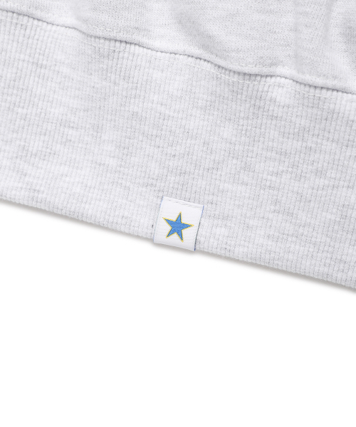Cavish(カビシ)の「W CLASSIC LOGO ZIP UP HOODIE LIGHT GREY(CV2EFFM482A)(パーカー・レディース・ライトグレー・FREE)」の6枚目の写真